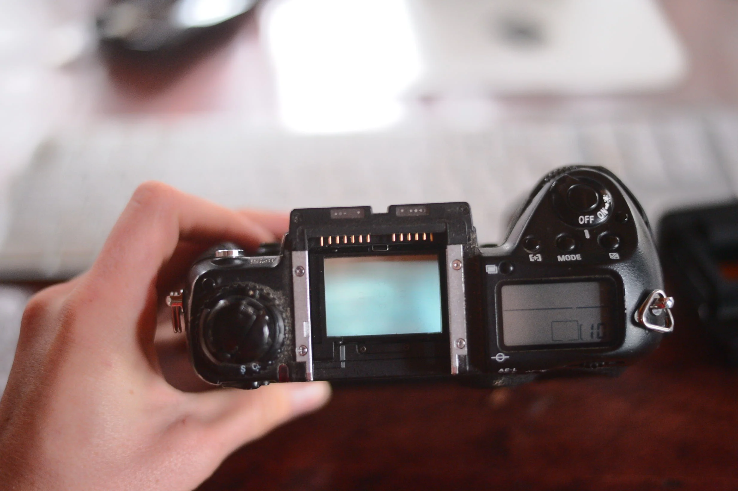 Nikon online f 5